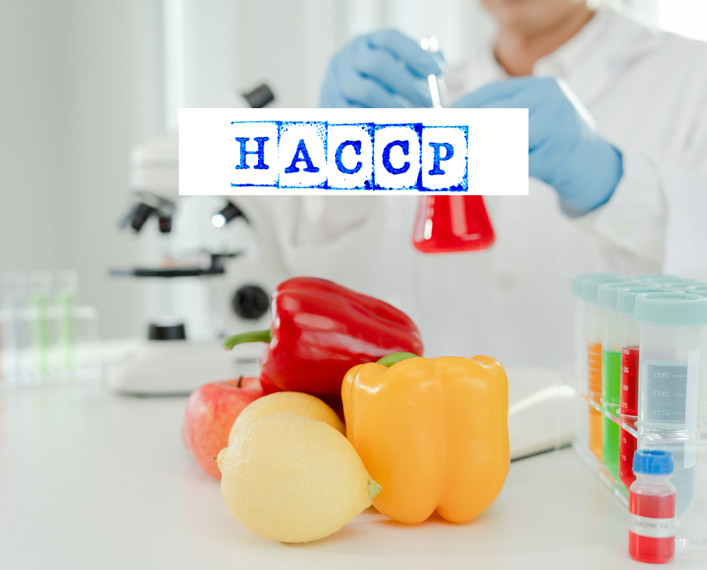 Maîtrisez la sécurité alimentaire grâce à la formation HACCP en Ligne pour professionnels